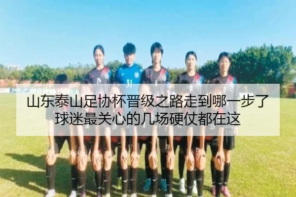 山东泰山足协杯晋级之路走到哪一步了 球迷最关心的几场硬仗都在这 - k1sports